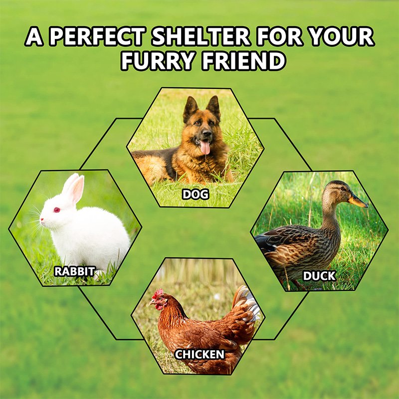 Edge Protection Fence